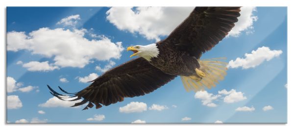Adler fliegt über Berge, Glasbild Panorama Angebot