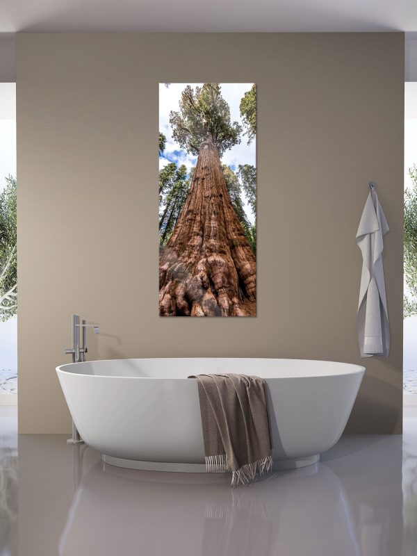 Baum im Regenwald, Glasbild Panorama Rabatt – Bild 4