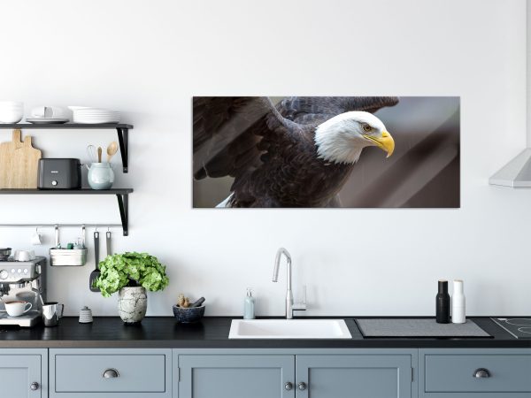 Adler, Glasbild Panorama Im Angebot – Bild 3