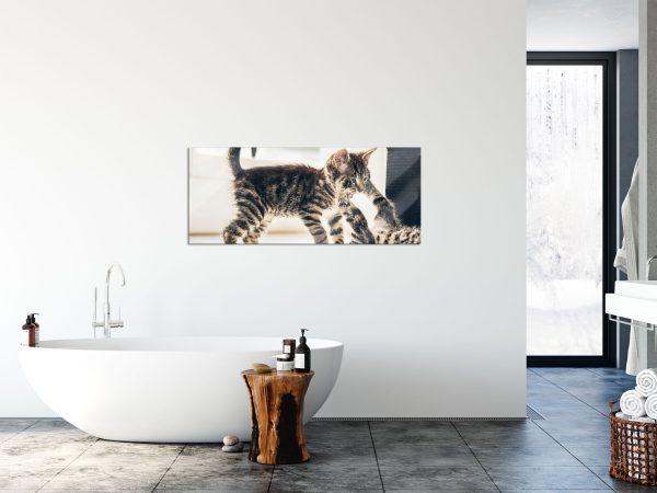 Fighting Cats, Glasbild Panorama Im Angebot – Bild 4