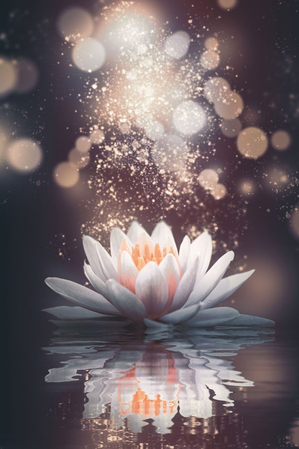 Magische Lotusblüte mit Glitzerstaub, Glasbild Online-Verkauf – Bild 5