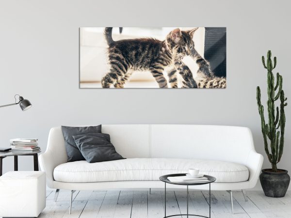 Fighting Cats, Glasbild Panorama Im Angebot – Bild 2