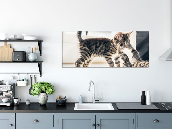 Fighting Cats, Glasbild Panorama Im Angebot – Bild 3